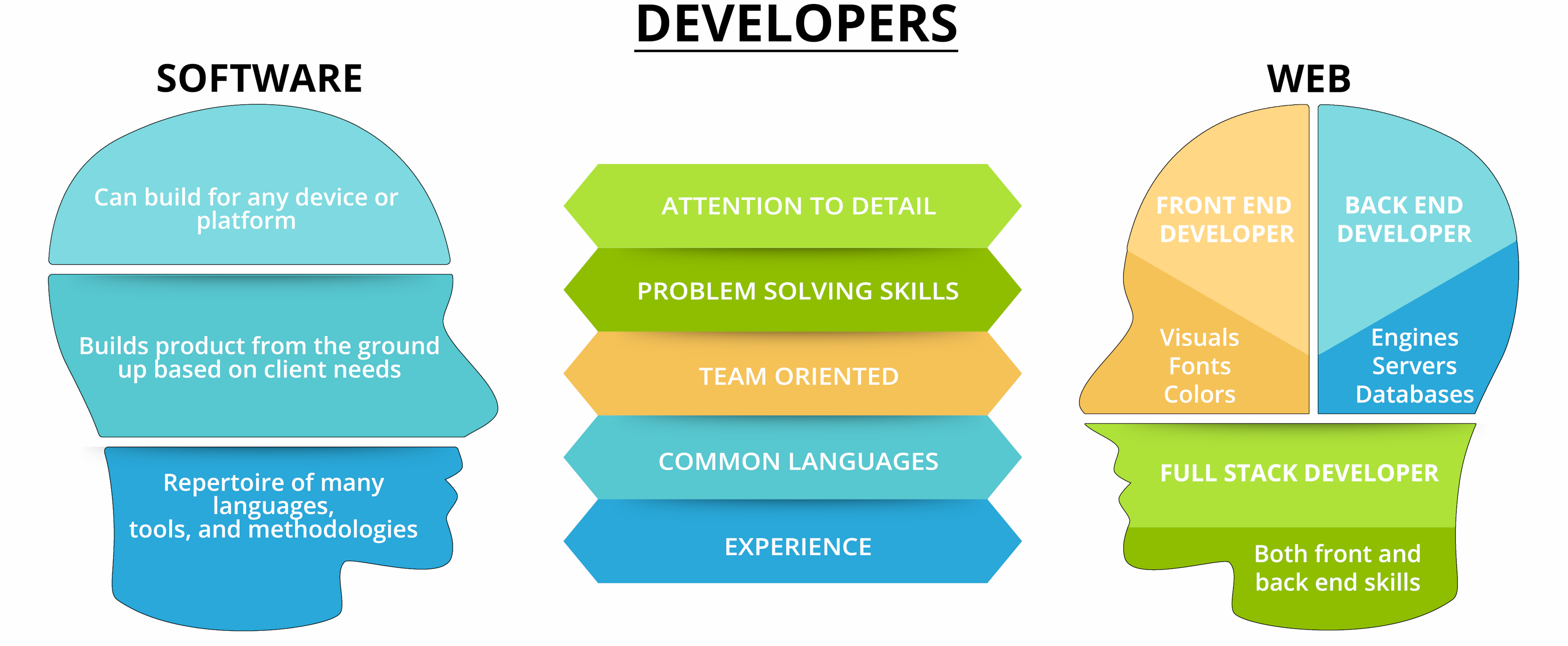 Web Development Vs Software Development: How Do They Compare? ⋆ Geneca